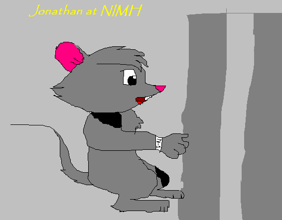 jonatnimh.jpg